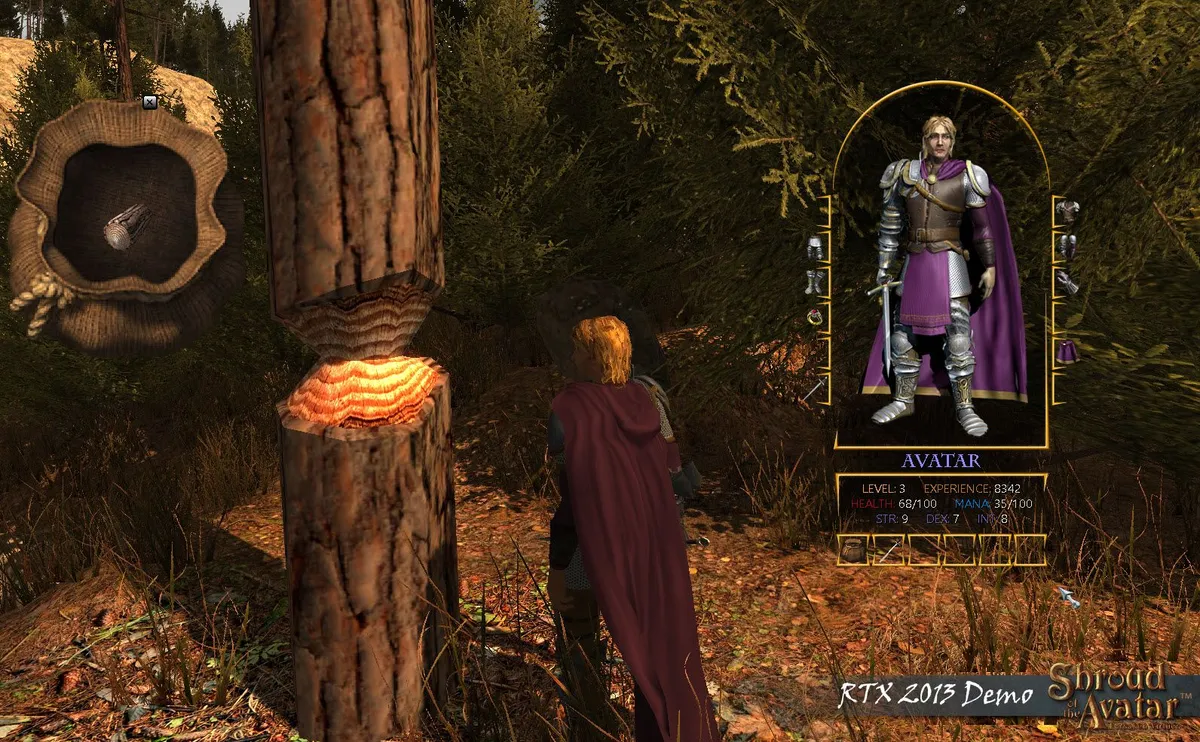 Скриншот 2 из игры Shroud of the Avatar