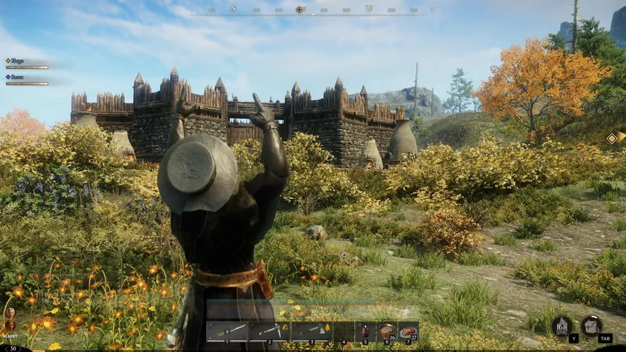 Скриншот игры New World