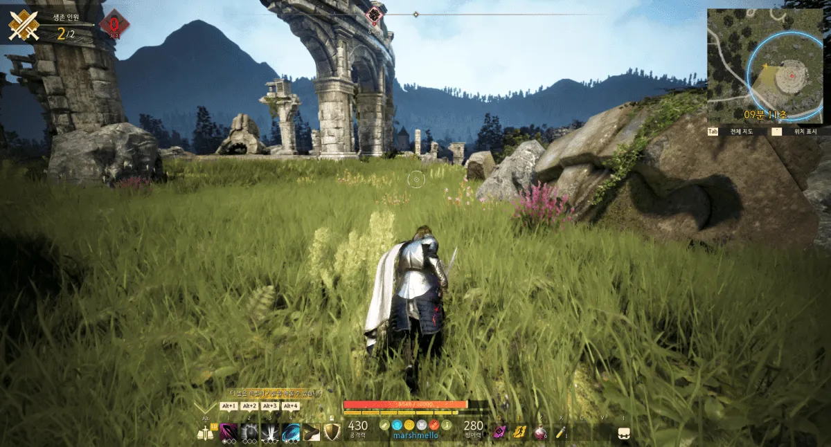 Скриншот 1 из игры Shadow Arena